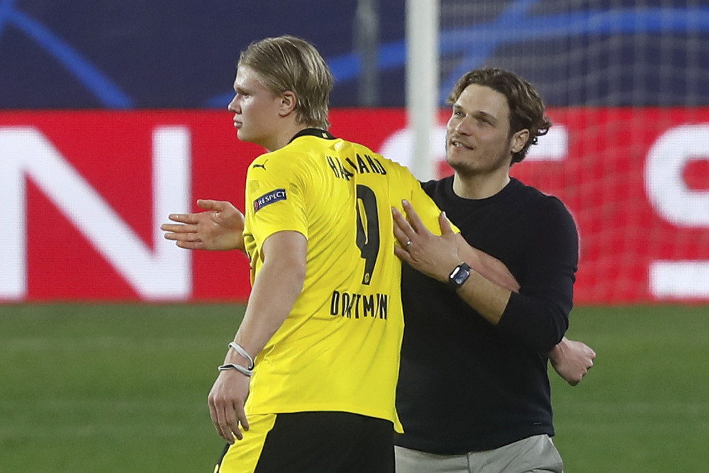 风险的自然 风险的自然